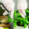 Compostable Poly Gloves Eco-Friendly Food Safe-6