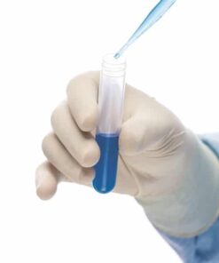 Examination Latex Disposable Gloves