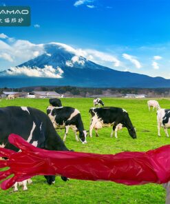 Veterinary disposable long-arm gloves