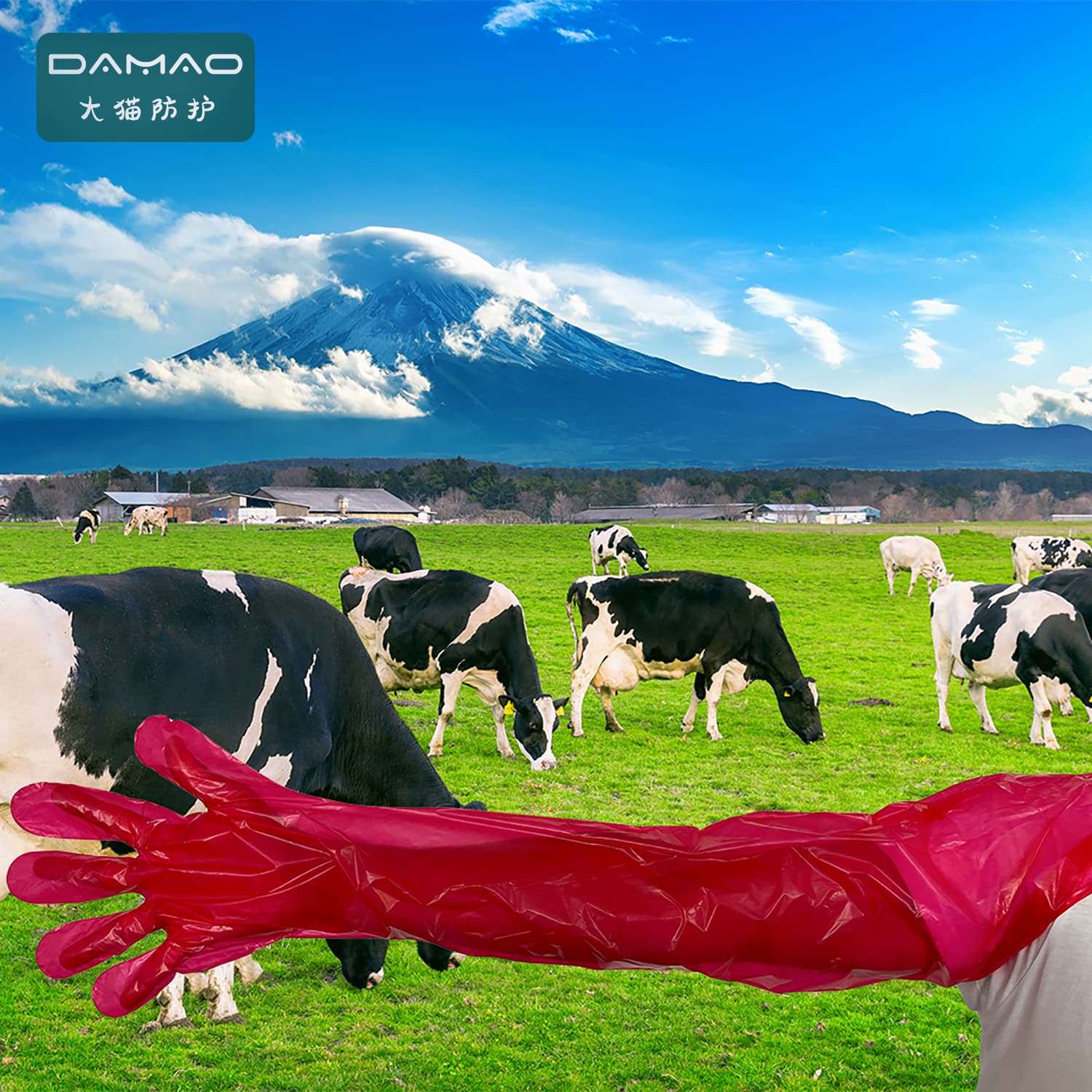 Veterinary disposable long-arm gloves