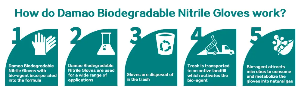 Biodegradable nitrile gloves manufactured by Damao Tech for medical and industrial use