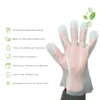 Disposable Compostable Gloves - Eco-Friendly, Food Safe