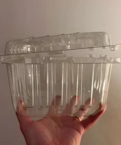 Biodegradable lunch boxes-02