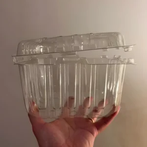 Biodegradable lunch boxes-02