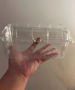 Biodegradable lunch boxes